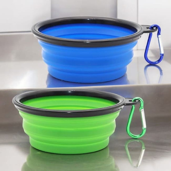 Colourful Pet Bowl