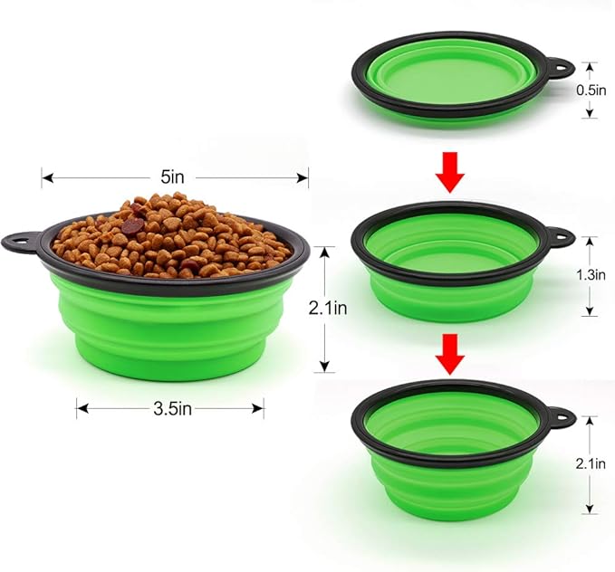 Colourful Pet Bowl