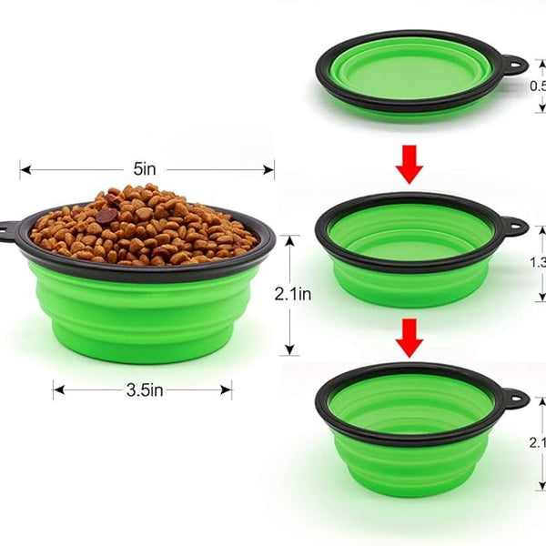 Colourful Pet Bowl