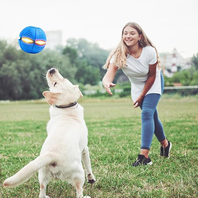 Pets Magic UFO Ball