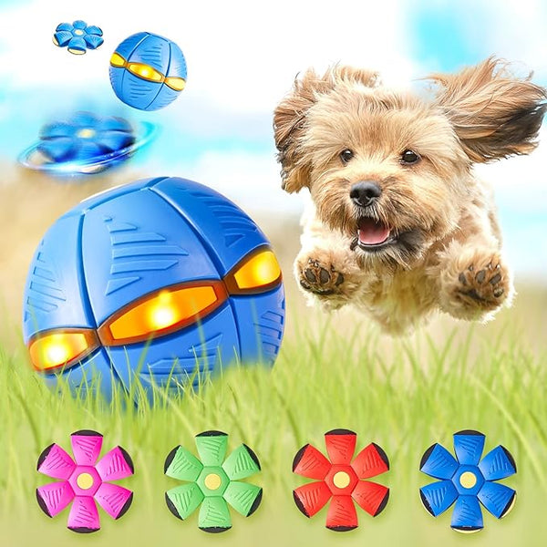 Pets Magic UFO Ball